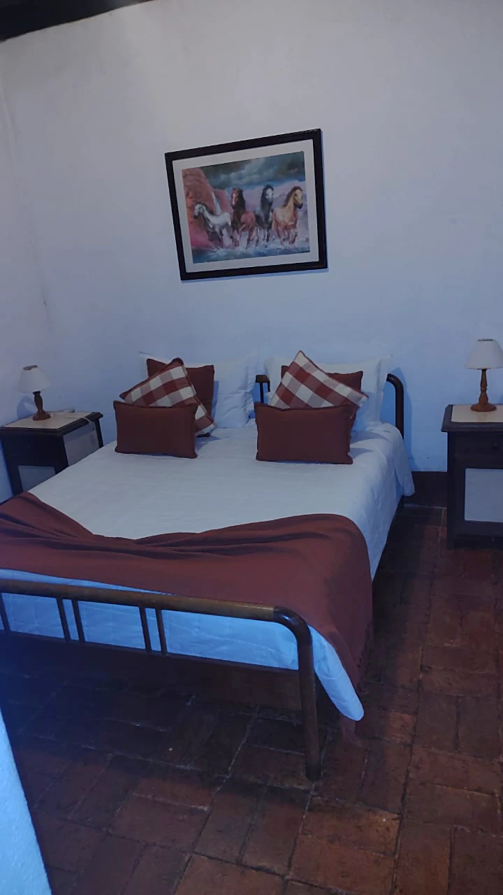 Cama de casal do Conjugado Standard com piso de tijolo e quadro na parede