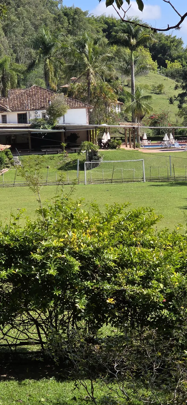 Campo de futebol e casas da fazenda entre as palmeiras