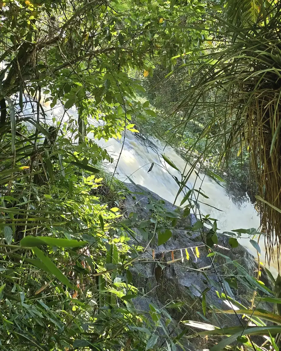 Queda d’água da cachoeira entre a mata e as pedras da fazenda