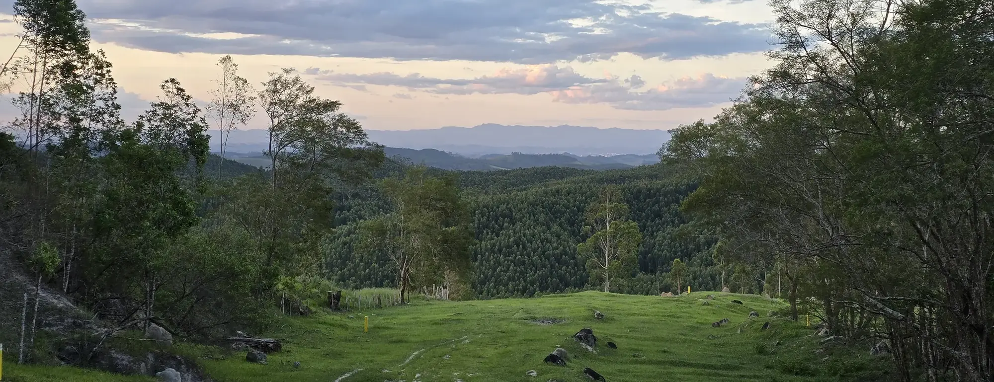 Vista do mirante para a mata e as montanhas do Vale do Paraíba